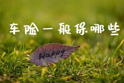 车险一般保哪些_https://m.kuaijiepai.net_资产证券化_第1张