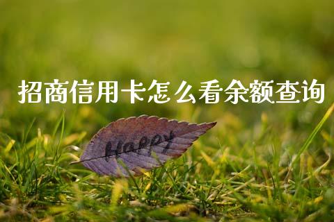 招商信用卡怎么看余额查询_https://m.kuaijiepai.net_资产证券化_第1张