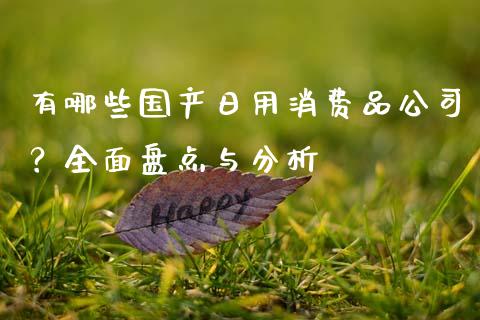 有哪些国产日用消费品公司？全面盘点与分析_https://m.kuaijiepai.net_货币基金_第1张