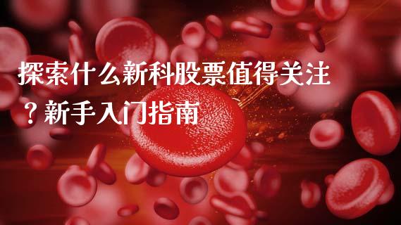 探索什么新科股票值得关注？新手入门指南_https://m.kuaijiepai.net_货币基金_第1张