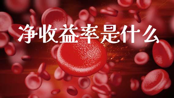 净收益率是什么_https://m.kuaijiepai.net_货币基金_第1张