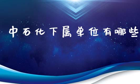 中石化下属单位有哪些_https://m.kuaijiepai.net_股票交易_第1张