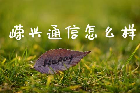 嵘兴通信怎么样_https://m.kuaijiepai.net_股票交易_第1张