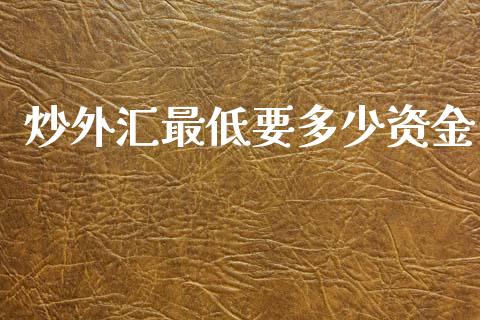 炒外汇最低要多少资金_https://m.kuaijiepai.net_股票交易_第1张