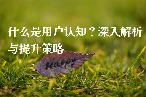 什么是用户认知？深入解析与提升策略_https://m.kuaijiepai.net_股票交易_第1张