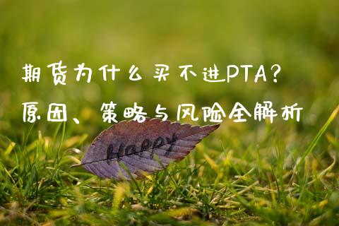 期货为什么买不进PTA？原因、策略与风险全解析_https://m.kuaijiepai.net_资产证券化_第1张