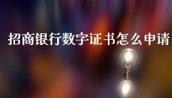 招商银行数字证书怎么申请_https://m.kuaijiepai.net_资产证券化_第1张