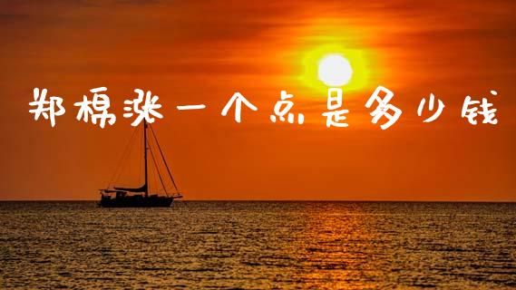 郑棉涨一个点是多少钱_https://m.kuaijiepai.net_货币基金_第1张