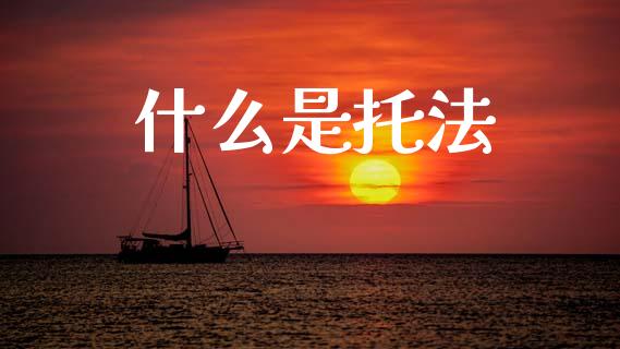 什么是托法_https://m.kuaijiepai.net_债券投资_第1张