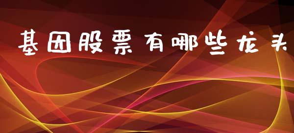 基因股票有哪些龙头_货币基金_第1张_货币基金_债券投资_股票交易_资产证券化 基因股票有哪些龙头_https://m.kuaijiepai.net_货币基金_第1张