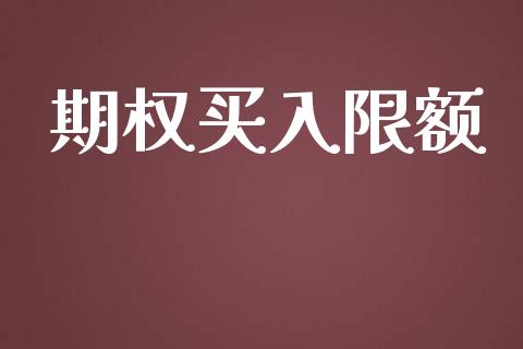 期权买入限额_https://m.kuaijiepai.net_货币基金_第1张