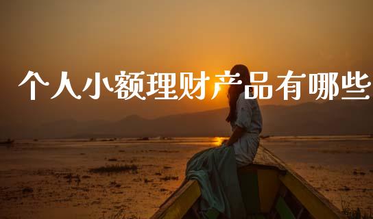 个人小额理财产品有哪些_https://m.kuaijiepai.net_货币基金_第1张