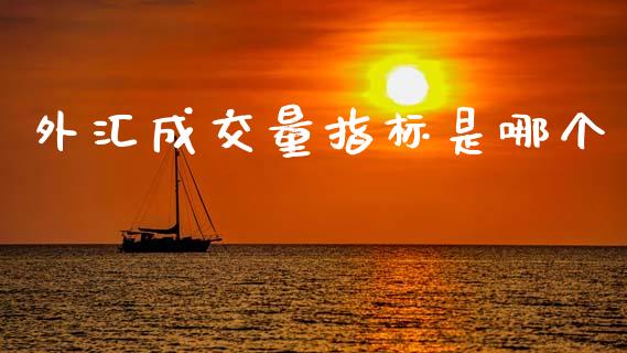 外汇成交量指标是哪个_https://m.kuaijiepai.net_资产证券化_第1张