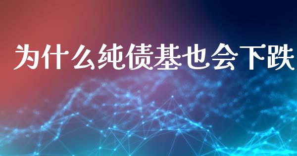 为什么纯债基也会下跌_https://m.kuaijiepai.net_债券投资_第1张