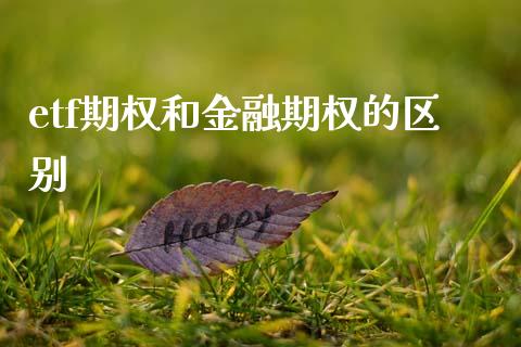 etf期权和金融期权的区别_https://m.kuaijiepai.net_货币基金_第1张