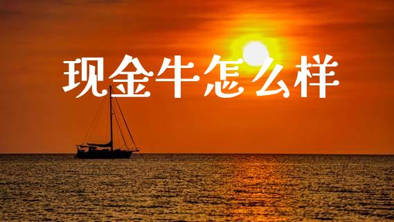 现金牛怎么样_https://m.kuaijiepai.net_资产证券化_第1张