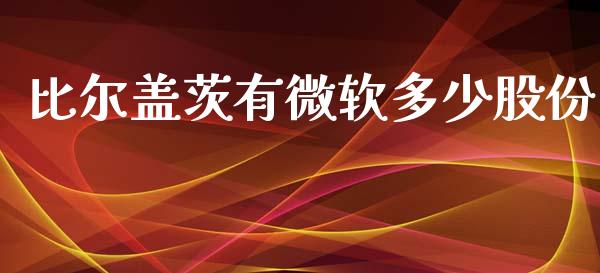 比尔盖茨有微软多少股份_https://m.kuaijiepai.net_货币基金_第1张