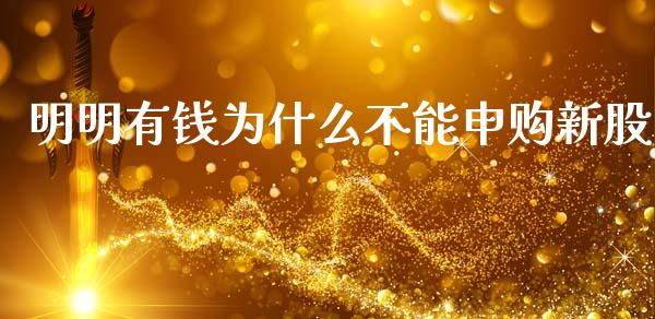 明明有钱为什么不能申购新股_https://m.kuaijiepai.net_货币基金_第1张