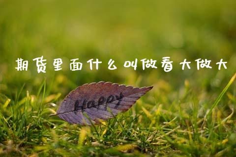 期货里面什么叫做看大做大_https://m.kuaijiepai.net_股票交易_第1张