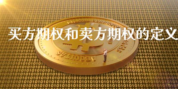 买方期权和卖方期权的定义_https://m.kuaijiepai.net_股票交易_第1张