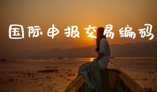 国际申报交易编码_https://m.kuaijiepai.net_债券投资_第1张