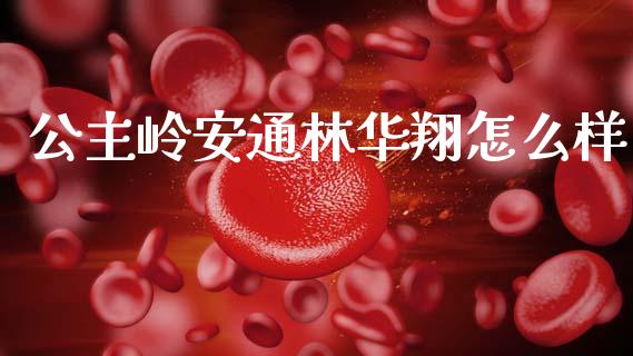 公主岭安通林华翔怎么样_https://m.kuaijiepai.net_货币基金_第1张