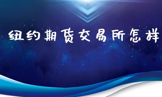 纽约期货交易所怎样_https://m.kuaijiepai.net_债券投资_第1张