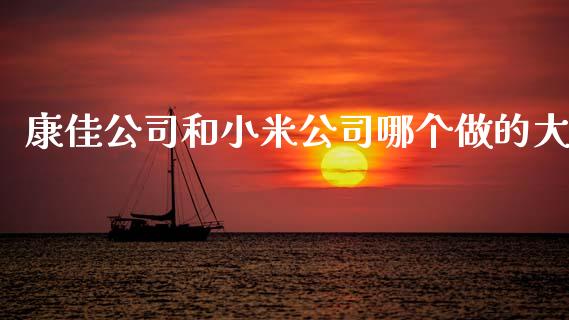 康佳公司和小米公司哪个做的大_https://m.kuaijiepai.net_货币基金_第1张