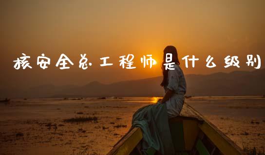 核安全总工程师是什么级别_https://m.kuaijiepai.net_货币基金_第1张