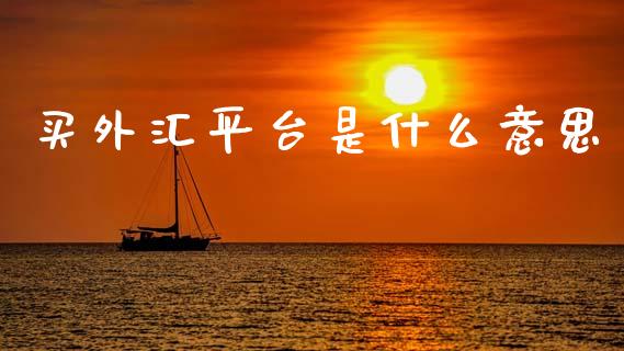 买外汇平台是什么意思_https://m.kuaijiepai.net_资产证券化_第1张