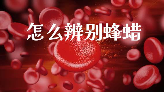 怎么辨别蜂蜡_https://m.kuaijiepai.net_货币基金_第1张