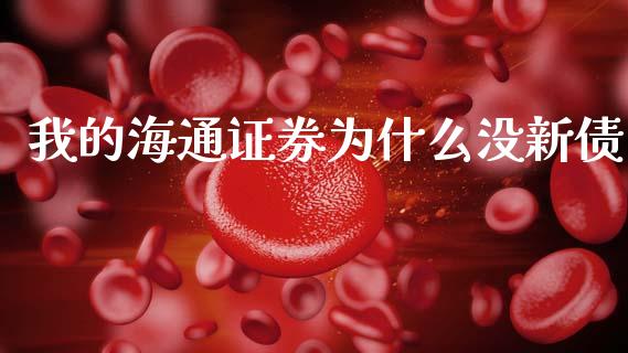 我的海通证券为什么没新债_https://m.kuaijiepai.net_股票交易_第1张
