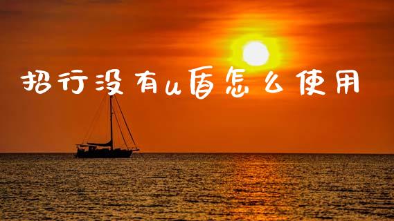 招行没有u盾怎么使用_https://m.kuaijiepai.net_资产证券化_第1张