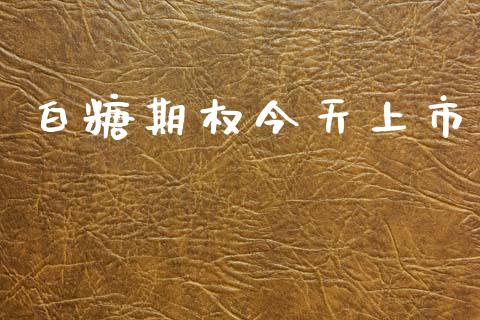 白糖期权今天上市_https://m.kuaijiepai.net_资产证券化_第1张