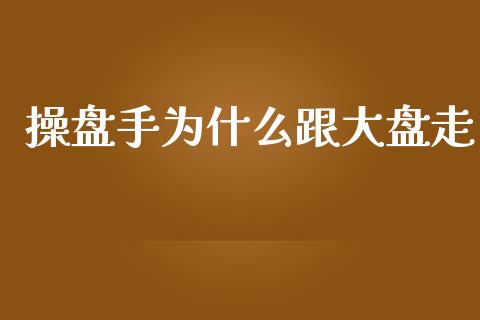 操盘手为什么跟大盘走_https://m.kuaijiepai.net_债券投资_第1张