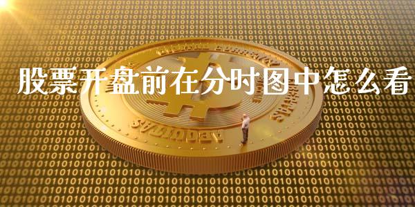 股票开盘前在分时图中怎么看_https://m.kuaijiepai.net_股票交易_第1张
