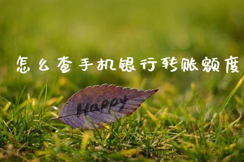 怎么查手机银行转账额度_https://m.kuaijiepai.net_货币基金_第1张