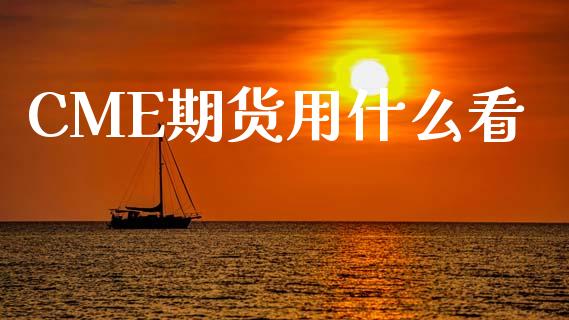 CME期货用什么看_https://m.kuaijiepai.net_股票交易_第1张