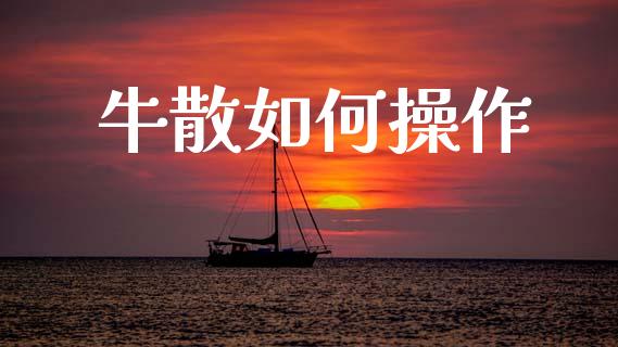 牛散如何操作_https://m.kuaijiepai.net_货币基金_第1张