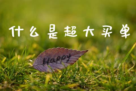 什么是超大买单_https://m.kuaijiepai.net_货币基金_第1张