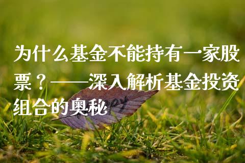 为什么基金不能持有一家股票？——深入解析基金投资组合的奥秘_https://m.kuaijiepai.net_股票交易_第1张