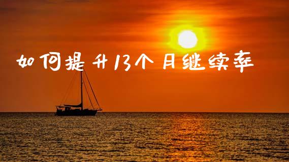 如何提升13个月继续率_https://m.kuaijiepai.net_债券投资_第1张