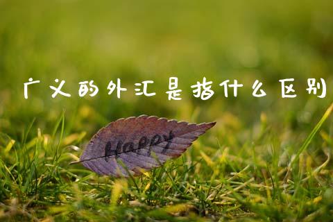 广义的外汇是指什么区别_https://m.kuaijiepai.net_股票交易_第1张
