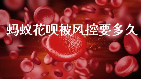 蚂蚁花呗被风控要多久_https://m.kuaijiepai.net_债券投资_第1张