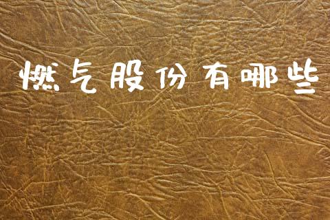 燃气股份有哪些_https://m.kuaijiepai.net_资产证券化_第1张