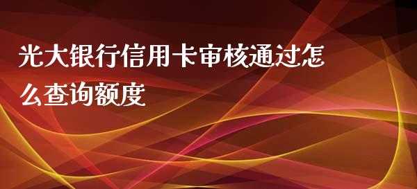 光大银行信用卡审核通过怎么查询额度_https://m.kuaijiepai.net_货币基金_第1张