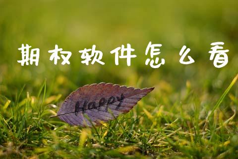 期权软件怎么看_https://m.kuaijiepai.net_债券投资_第1张