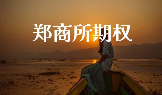 郑商所期权_https://m.kuaijiepai.net_债券投资_第1张