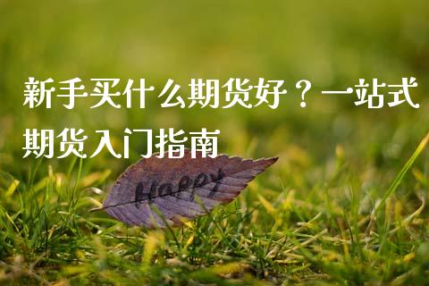 新手买什么期货好?一站式期货入门指南_资产证券化_第1张_货币基金_债券投资_股票交易_资产证券化 新手买什么期货好?一站式期货入门指南_https://m.kuaijiepai.net_资产证券化_第1张