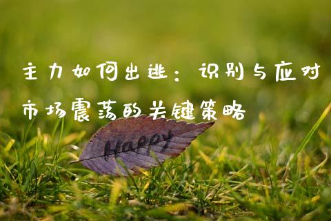主力如何出逃：识别与应对市场震荡的关键策略_https://m.kuaijiepai.net_货币基金_第1张
